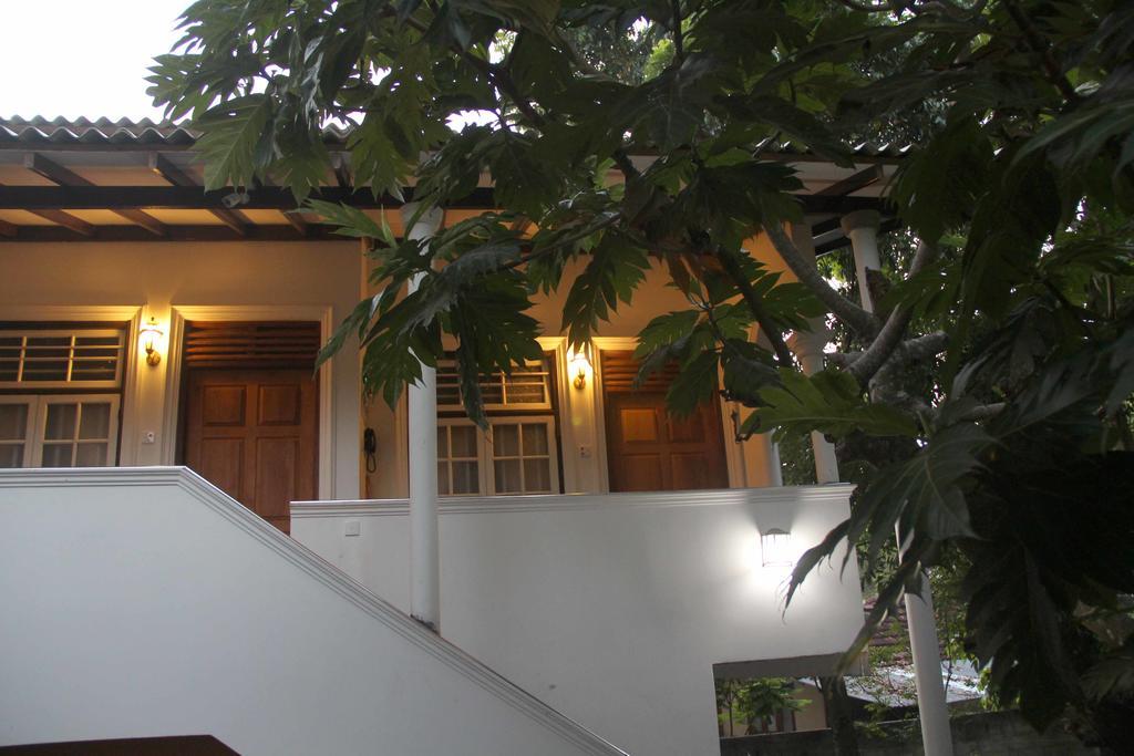 Lionka Guesthouse Mirissa Εξωτερικό φωτογραφία